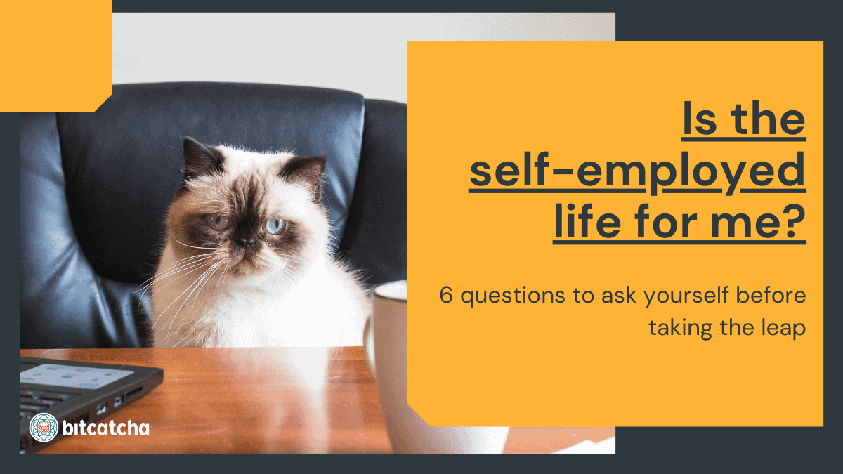 6 questions to ask before becoming self employed