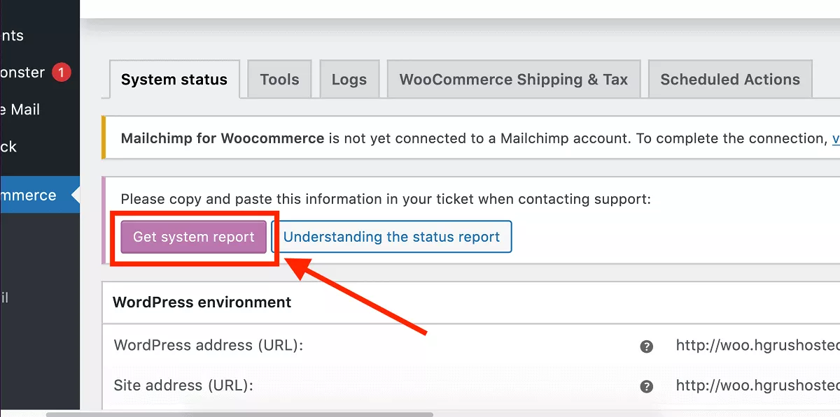 WooCommerce systems report