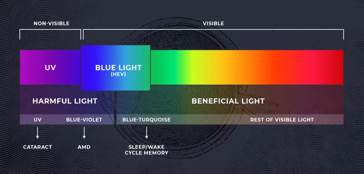 the non visible and visible light spectrum